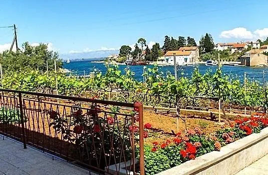 Apartments Lukoran *